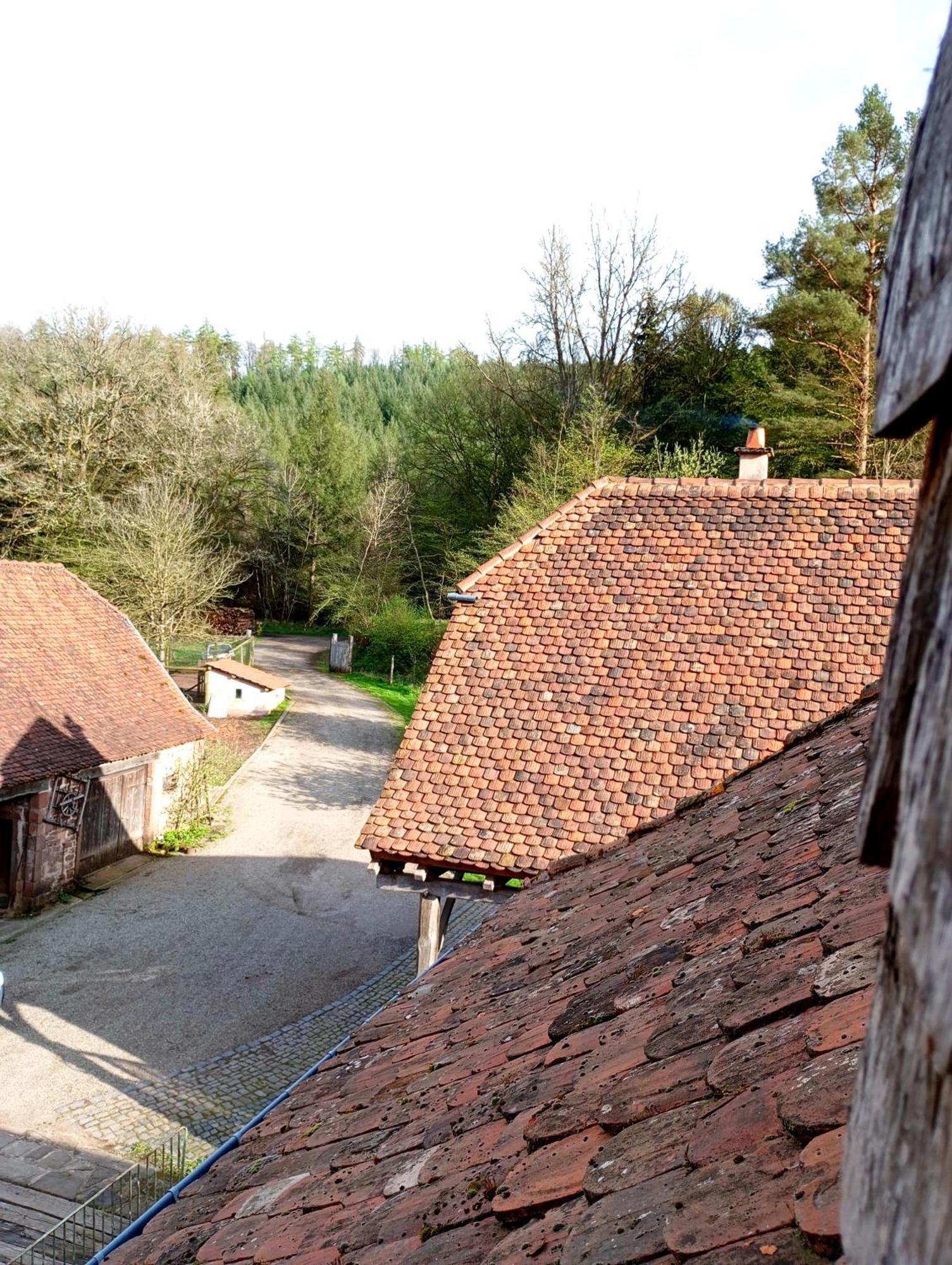 Maison D'Hotes De Charme - Ancien Moulin En Pleine Nature - La Paulusmuehle Soucht Kültér fotó